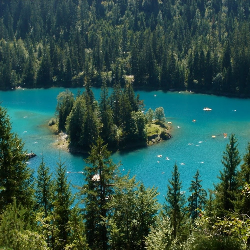 Meet your Posher, Sophie